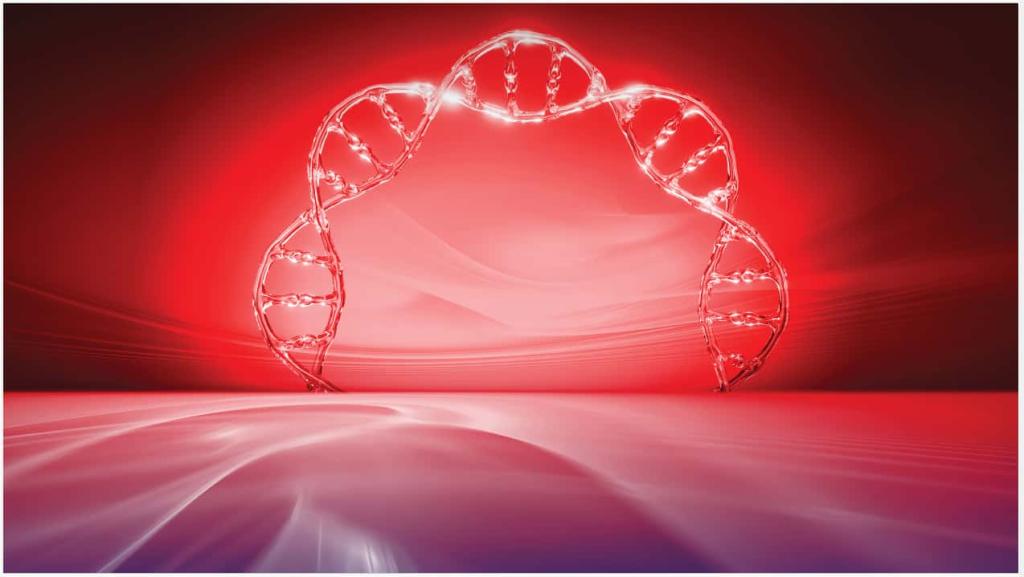 质粒试剂盒尺寸：在科学研究中的应用